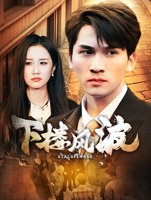 下楼风波（30集）演的怎么样