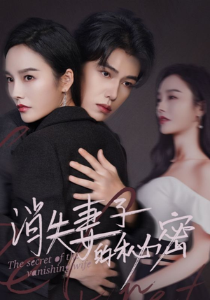 消失妻子的秘密（60）去哪里看