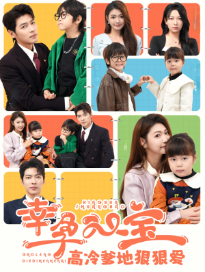 【幸孕双宝高冷爹地狠狠爱】80集短剧免费高清在线看