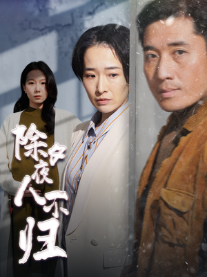 【除夕夜人不归】47集在线短剧免费全集观