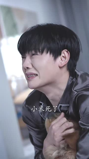 【会有天使替我来爱你】29集短剧免费在线观看全集