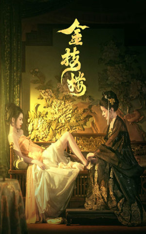 【金枝楼】52集短剧全集免费畅快观看