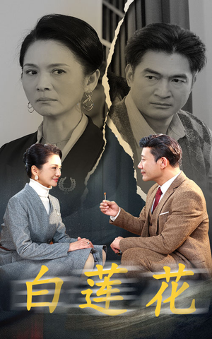 【白莲花】40集在线短剧免费全集畅看
