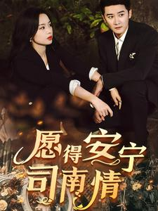 【愿得安宁司南情】76集短剧资源在线赏看