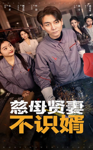 【慈母贤妻不识婿】45集免费短剧在线直播看