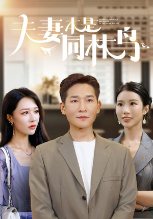 【夫妻本是同林鸟】76集在线免费看短剧全集