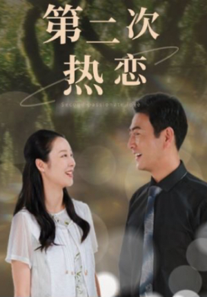 【第二次热恋】48集短剧全集在线赏看
