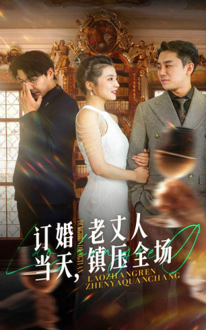 订婚当天，老丈人镇压全场（29集）热门短剧免费看