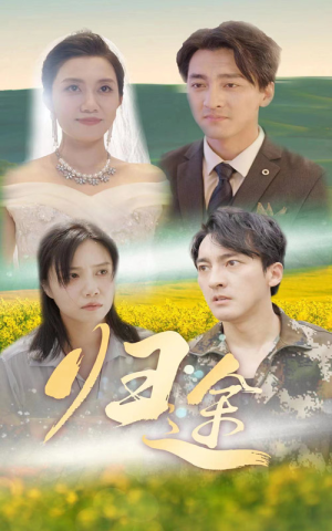 【归途】52集短剧全集免费高清观看