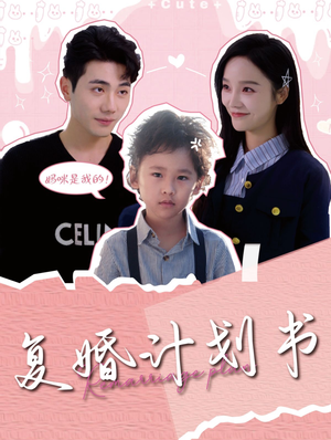 【复婚计划书】96集短剧在线免费观览