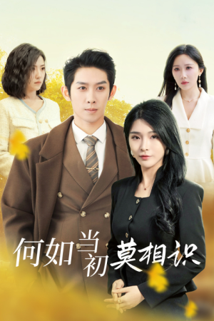 【何如当初莫相识】36集免费短剧在线观全