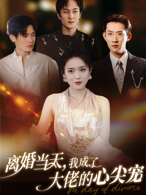 【离婚当天，我成了大佬的心尖宠】60集全集短剧免费在线览