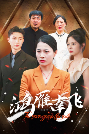 【鸿雁南飞】64集在线免费短剧全集赏