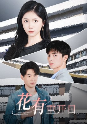 【花有重开日】41集高清短剧在线免费看