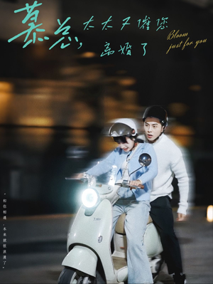 【慕总，太太又催您离婚了】80集短剧全集在线免费播放