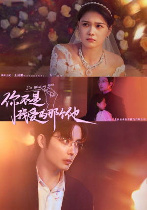 【你不是我爱的那个他】54集免费在线看短剧全集
