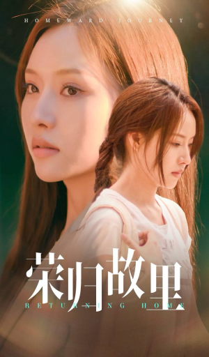 荣归故里（50集）在线看免费版