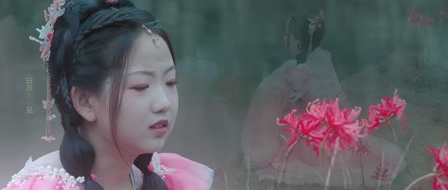 【南柯梦】24集短剧在线畅享完整版