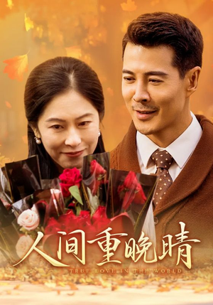 【人间重晚情】38集短剧完整版在线观