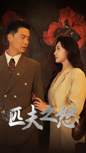 【匹夫之怒】48集免费看短剧全集