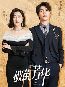 【破茧芳华】80集短剧全集在线免费览看