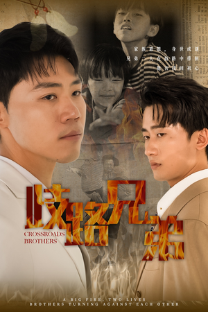 【歧路兄弟】63集短剧免费全集线上赏
