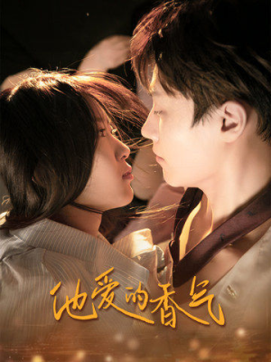 【他爱的香气】81集短剧在线免费观览