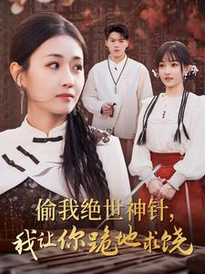 【偷我绝世神针，我让你跪地求饶】30集在线短剧免费畅看