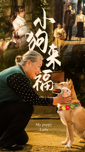 【小狗来福】30集高清短剧在线免费看