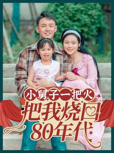 【小舅子一把火把我烧回80年代】100集短剧在线免费畅看