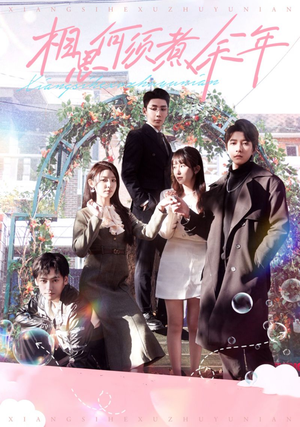 【相思何须煮余年】33集在线短剧免费观看