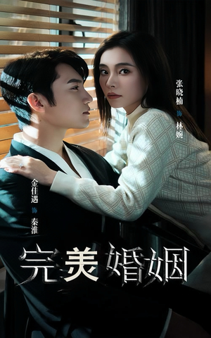 【完美婚姻】65集免费短剧完整观看