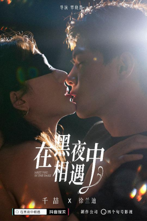【在黑夜中相遇】32集短剧免费畅快观看