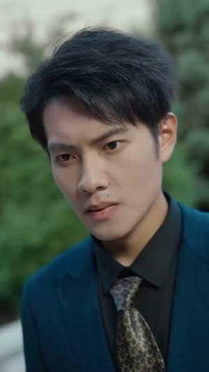 【叶落归根】73集精彩短剧免费在线品鉴