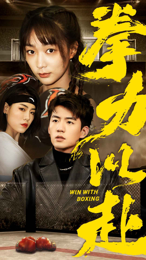 拳力以赴（80集）免费看