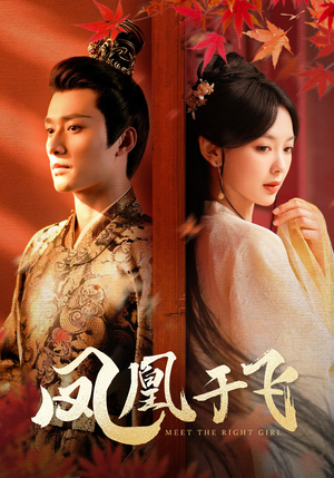 【凤凰于飞】79集高清短剧免费畅看全集