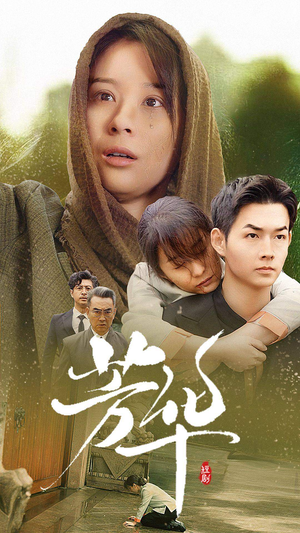 【芳华】80集免费短剧在线观览