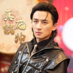 【真假龙帅】81集免费短剧在线完整赏