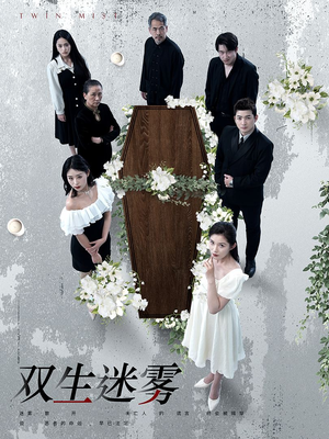 【双生迷雾】80集短剧免费在线瞧看