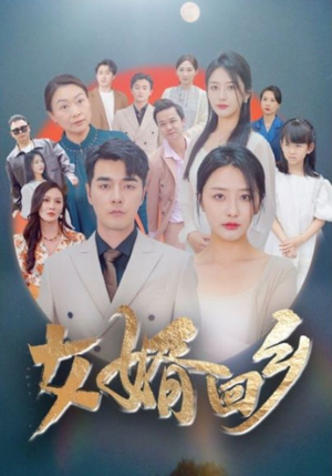 【女婿回乡】120集在线短剧免费畅享观看