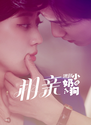 【相亲遇到小奶狗】80集在线畅享短剧全集看