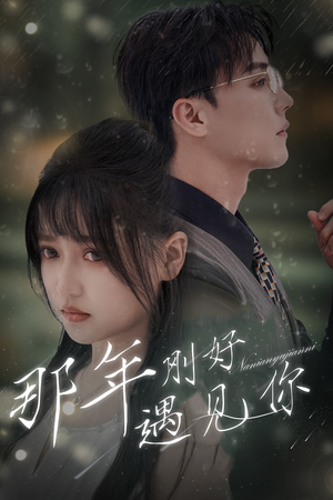 【那年遇见你】62集高清短剧全集在线赏看