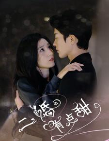 【二婚有点甜】88集免费短剧在线畅享全集