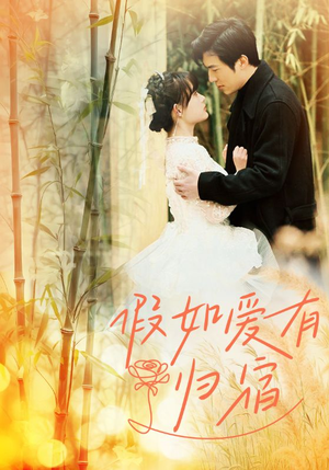 【假如爱有归宿】73集短剧在线免费尽情观