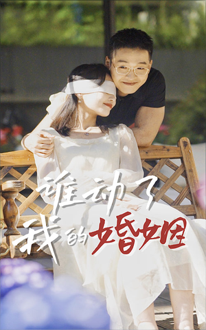 【谁动了我的婚姻】24集在线免费短剧完整观看