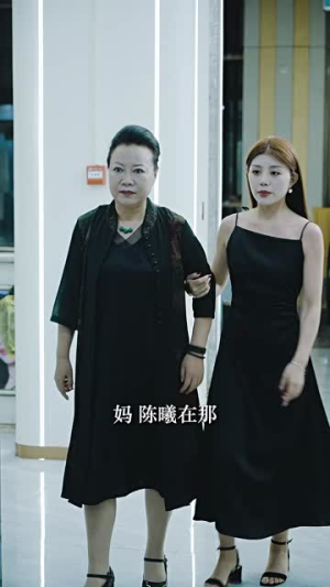 【消失的她之爱情转移】94集短剧免费全集速览