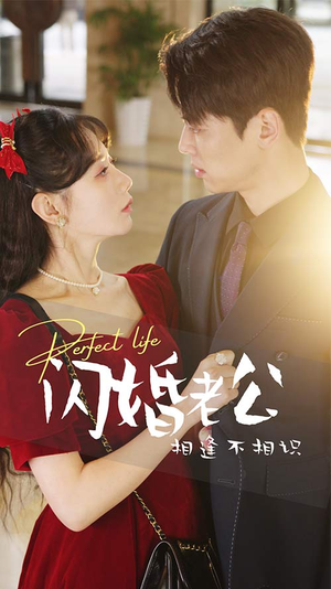 【闪婚老公相逢不相识】90集短剧免费完整版在线观瞧