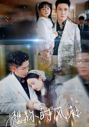 【想你时风起】69集免费短剧全集在线播放