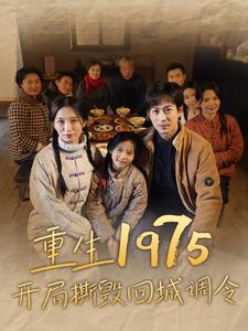 【重生1975开局撕毁回城调令】83集短剧在线免费高清观看