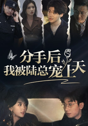 【分手后，我被陆总宠上天】76集短剧资源在线免费看